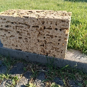 Заборный камень короед из бежевого ракушечника 160x160x160 мм