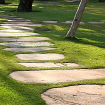 Шаговая дорожка в Калининграде