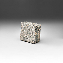 Француженка в Пушкино