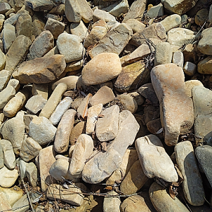 Песчаник галтованный (Дворовка) 200-300 мм